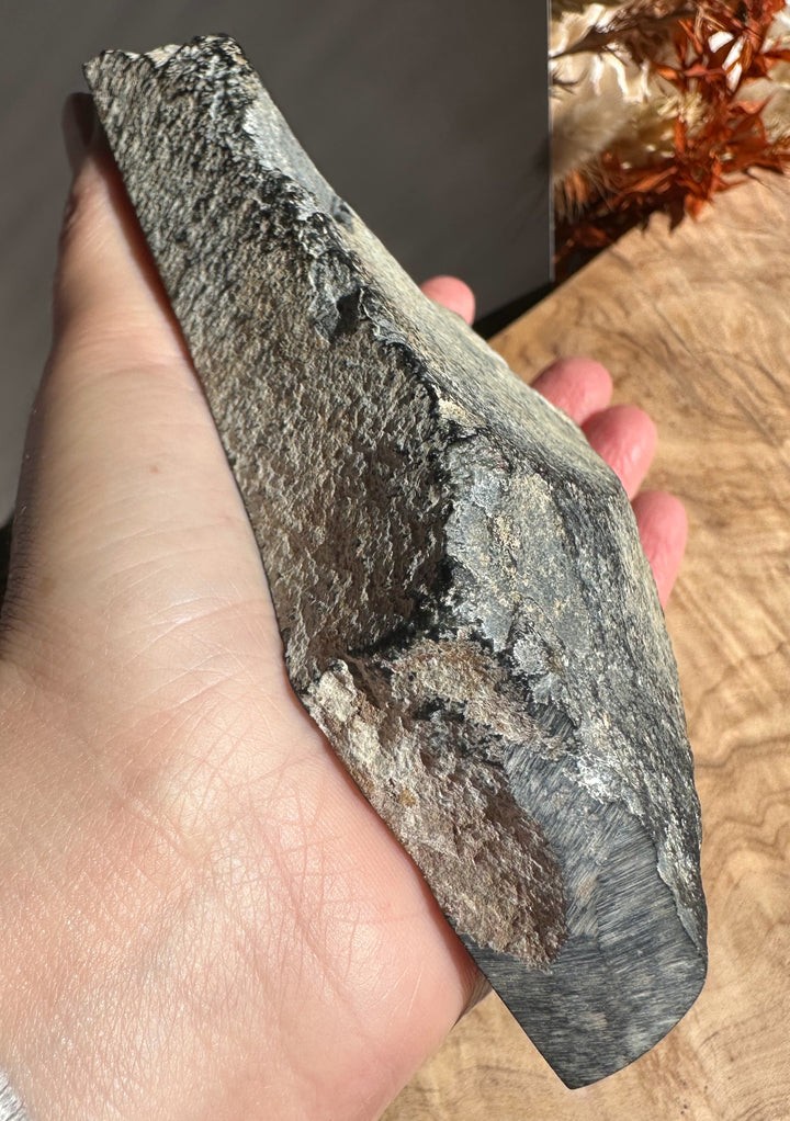 Wyoming rock sample with a dark gray textured surface and jagged edges held in hand