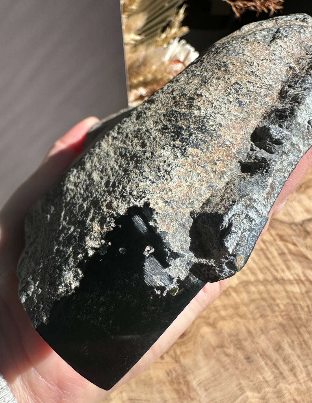Wyoming meteorite sample held in hand showing rough gray crust and glossy dark interior