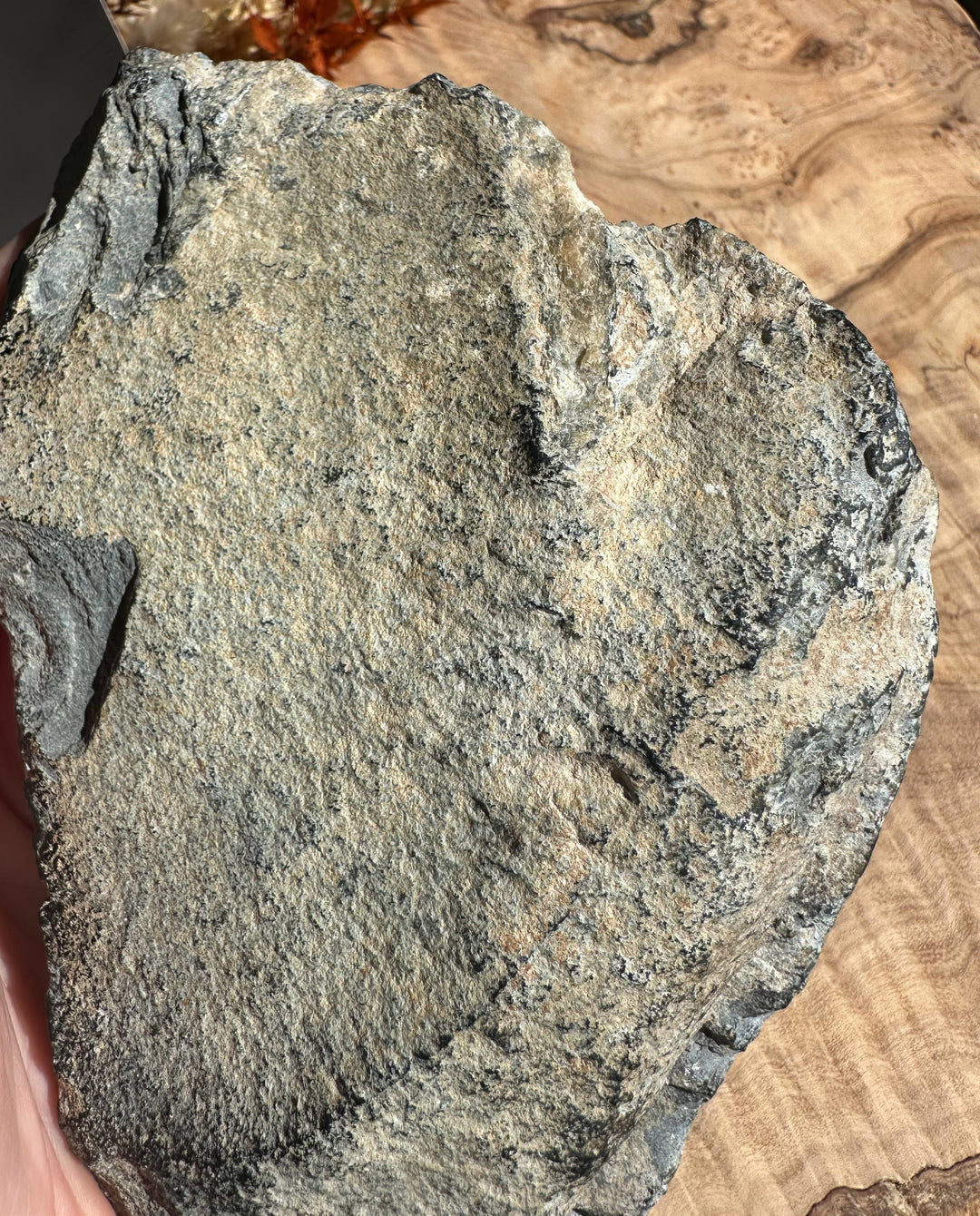 Wyoming mineral rock sample with rough gray surface