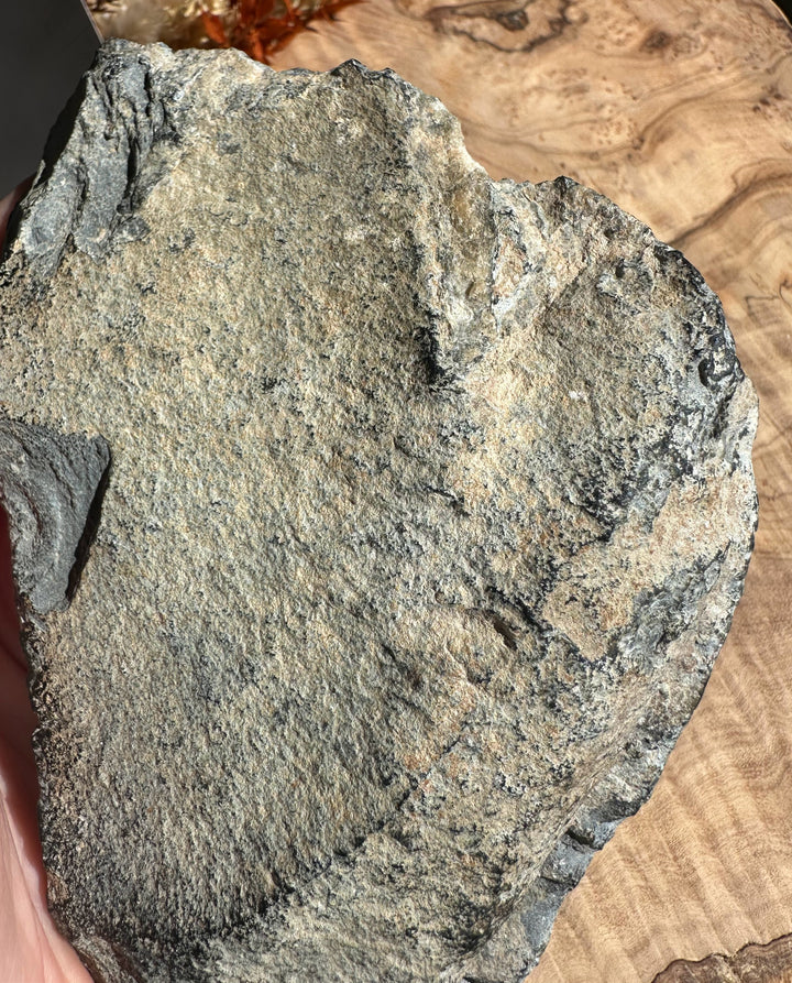 Wyoming mineral rock sample with rough gray surface