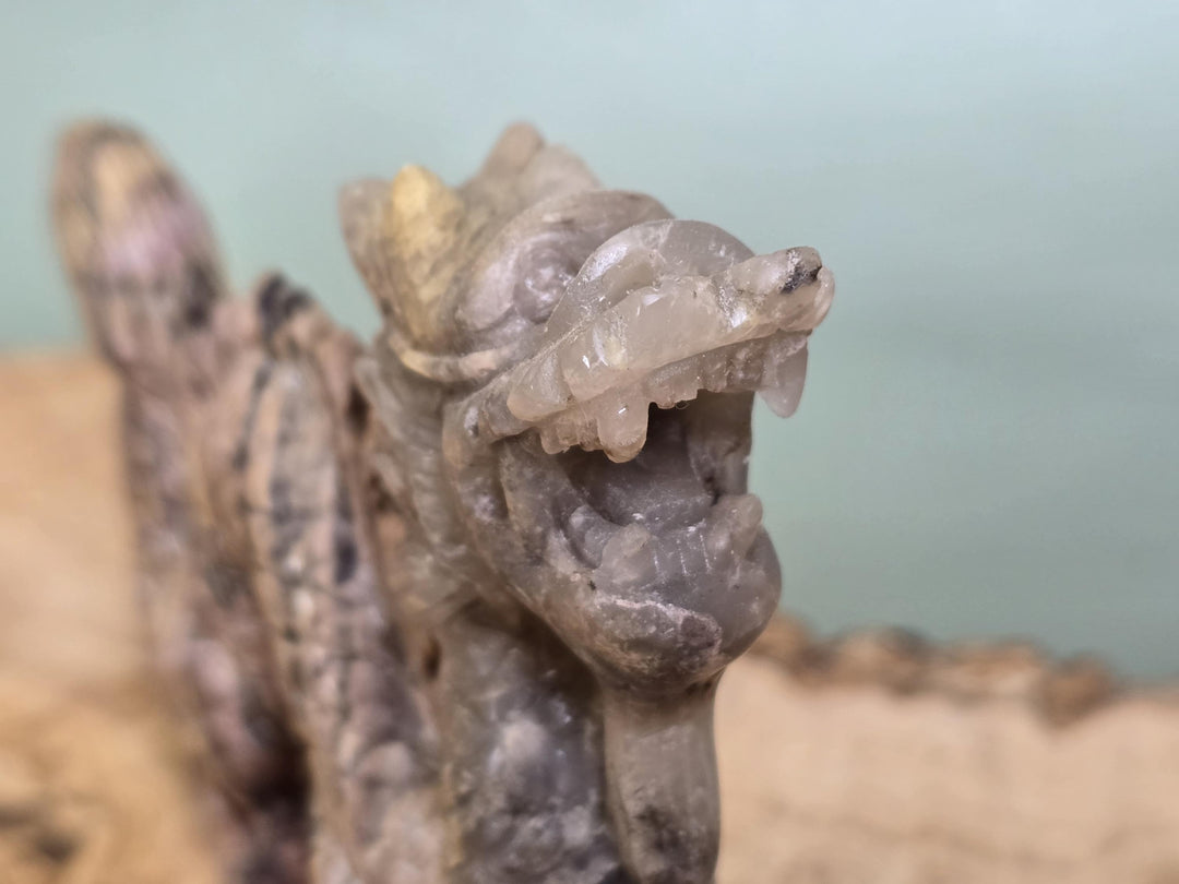 A close-up of a carved stone dragon head sculpture with an open mouth, showing detailed texture and pale gray-brown tones against a softly blurred background.