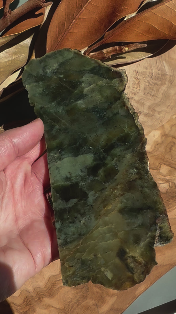 Wyoming Jade Slab,95grams Turtleback