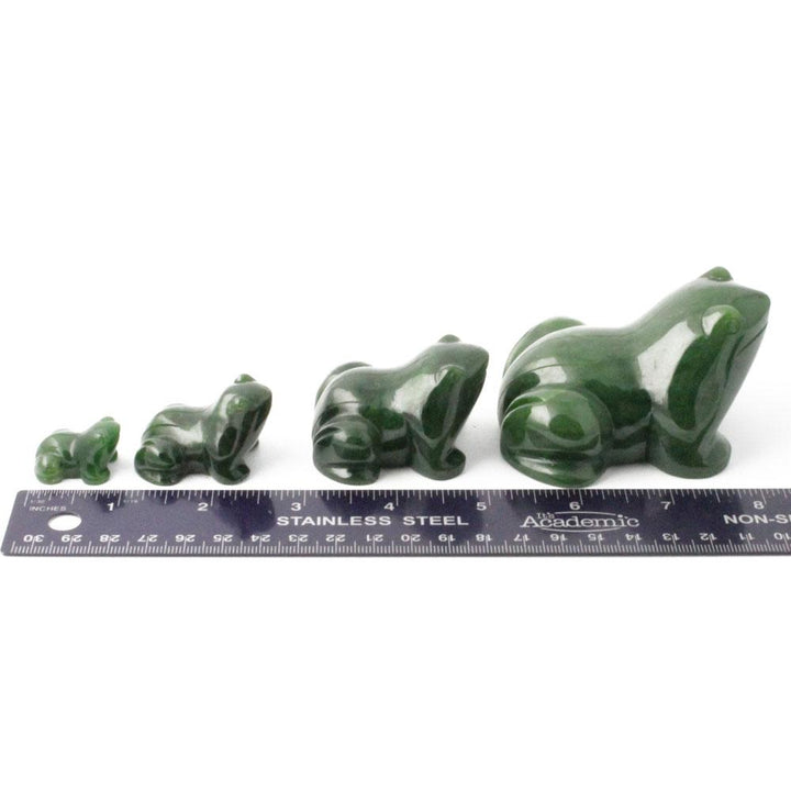 Set of green frog figurines in varying sizes lined up beside a ruler